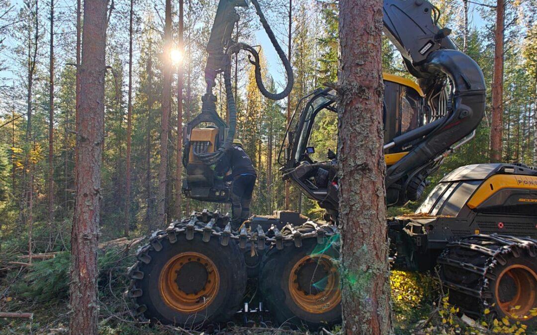 Hakkuutyönäytös Nurmeksessa pe 16.5.2025