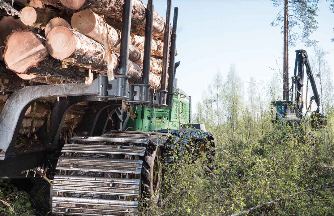Kuhmo Ltd | Environmental Principles Karhu selällään | Kuhmo