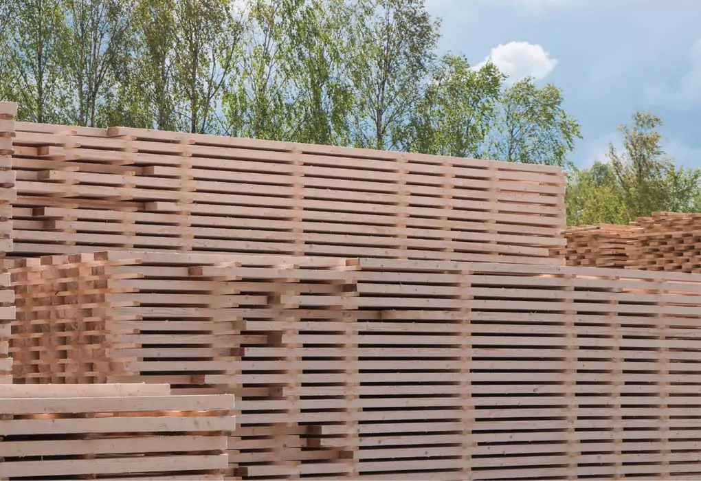 Kuhmo Oy | timber Karhu selällään | Kuhmo