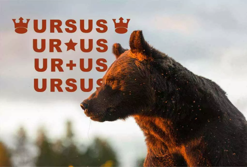 Kuhmo oy | Ursus Karhu selällään | Kuhmo